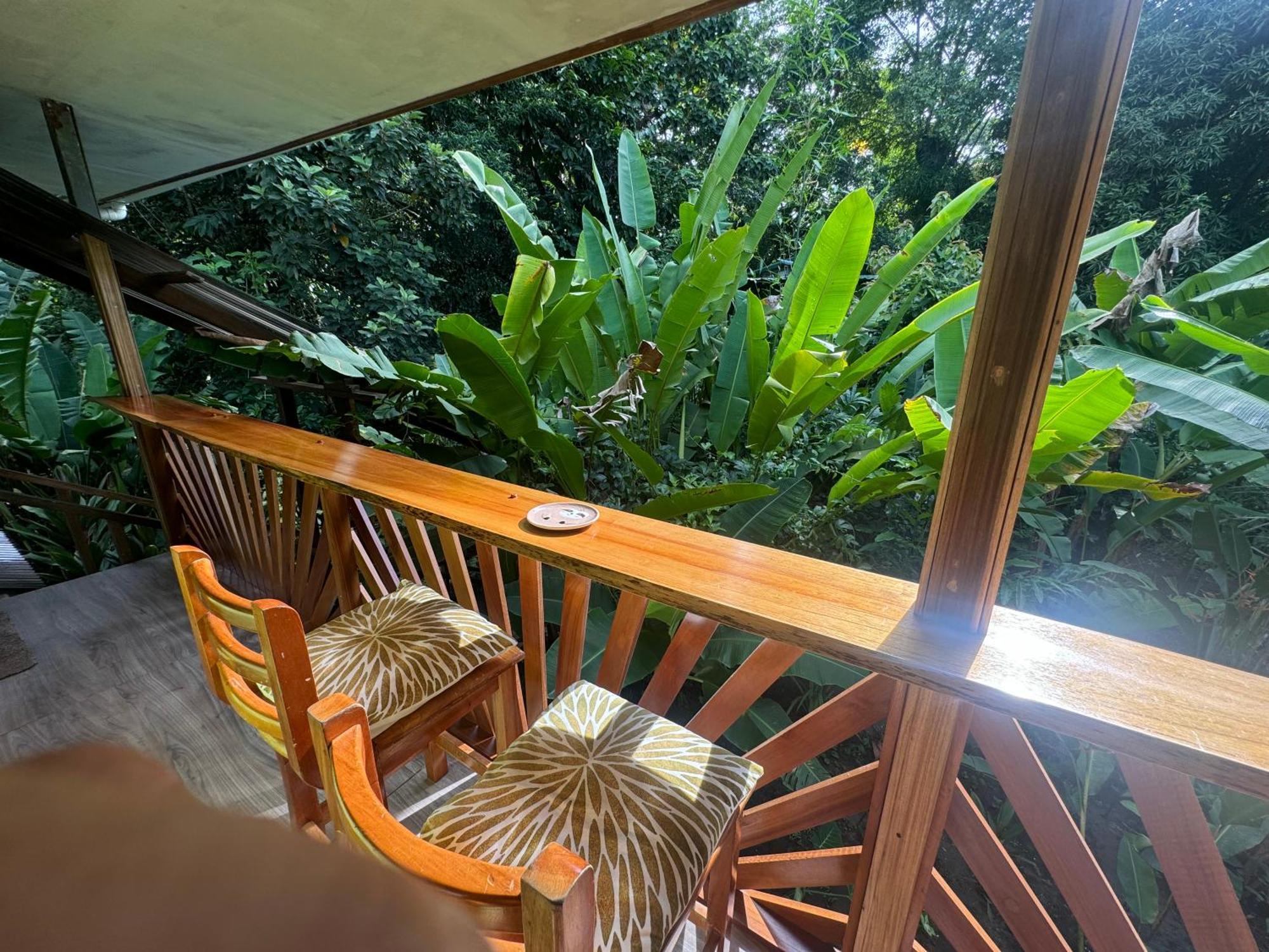 Chilamate Room 2 Tortuguero Exterior photo